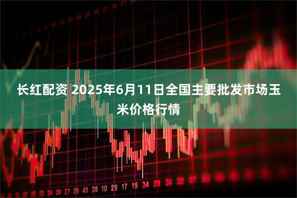 长红配资 2025年6月11日全国主要批发市场玉米价格行情
