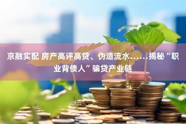 京融实配 房产高评高贷、伪造流水……揭秘“职业背债人”骗贷产业链