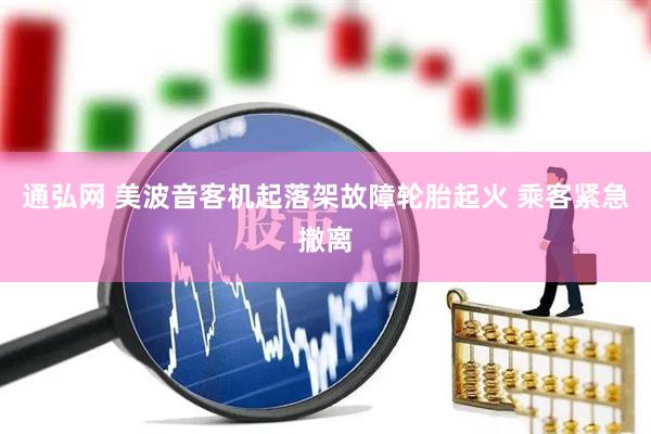 通弘网 美波音客机起落架故障轮胎起火 乘客紧急撤离