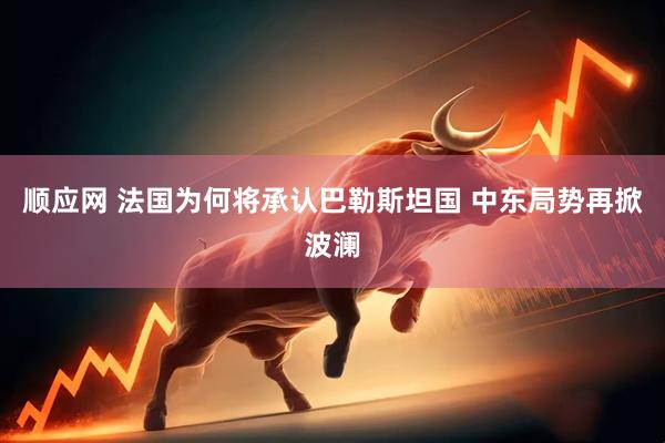 顺应网 法国为何将承认巴勒斯坦国 中东局势再掀波澜
