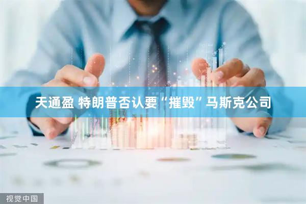 天通盈 特朗普否认要“摧毁”马斯克公司