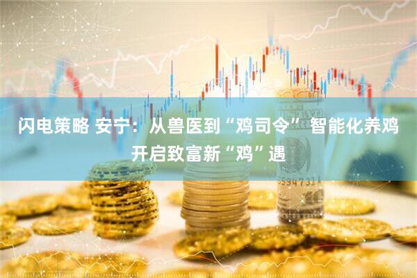 闪电策略 安宁：从兽医到“鸡司令” 智能化养鸡开启致富新“鸡”遇