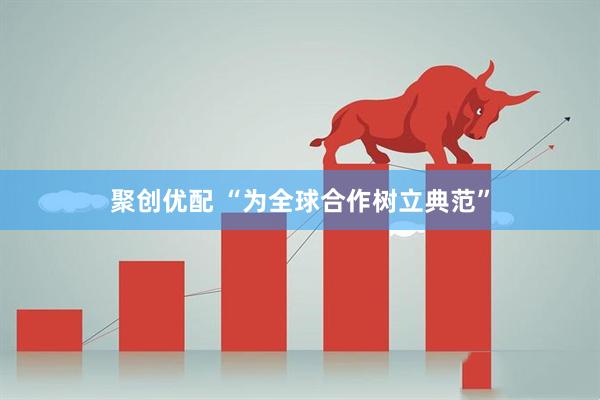 聚创优配 “为全球合作树立典范”