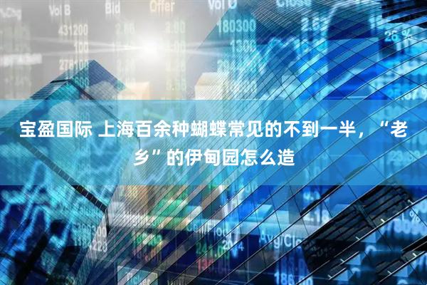 宝盈国际 上海百余种蝴蝶常见的不到一半，“老乡”的伊甸园怎么造